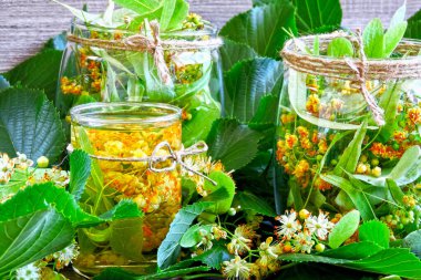 Yapraklar ve ıhlamur çiçekleri. Taze limon çayı. Linden çiçekleri. Çaya ıhlamur çiçeği hazırlamak. Ihlamur çiçeği çayı hasat ediyorum..