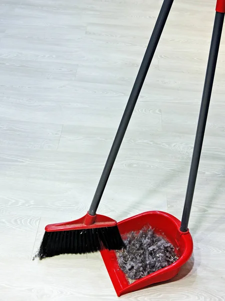 Brush for cleaning and dustbox with dust. The concept of cleaning in the room.