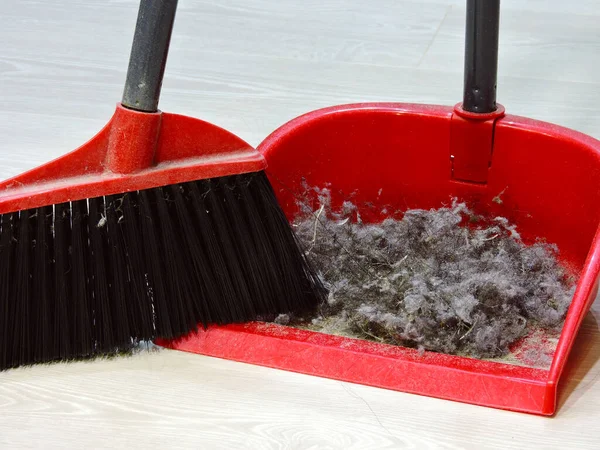 Brush for cleaning and dustbox with dust. The concept of cleaning in the room.