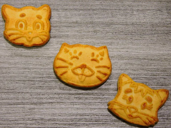 Cookies Cat Copy Space — Stock Photo, Image