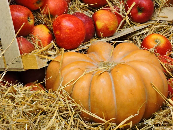 Pumpkin Apples Hay Apples Box Hay Halloween Composition — Stock Photo, Image