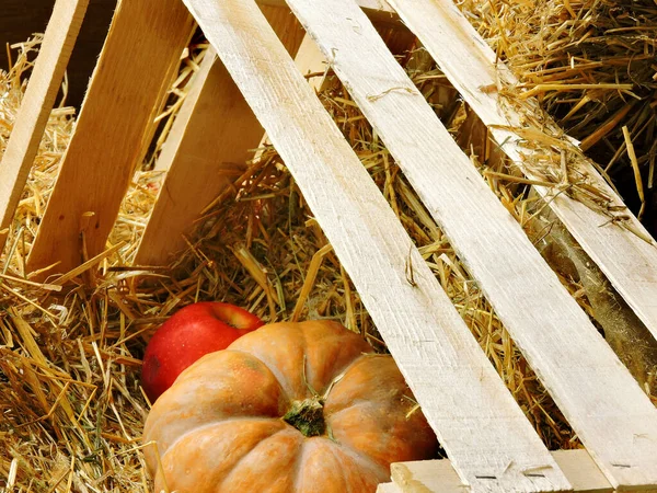 Calabaza Manzanas Heno Manzanas Una Caja Con Heno Composición Halloween — Foto de Stock