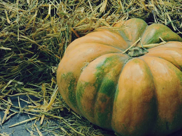 Zucca Arancione Brillante Uno Sfondo Fieno Composizione Halloween — Foto Stock