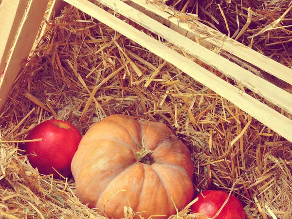 干し草の上のカボチャとリンゴ 干し草の入った箱にりんご ハロウィーンの構図 — ストック写真