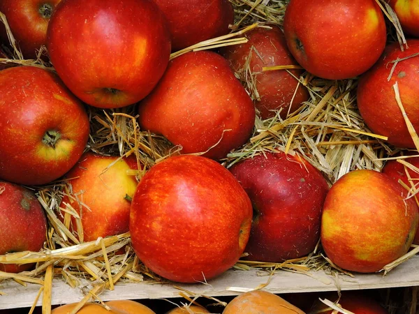 Calabaza Manzanas Heno Manzanas Una Caja Con Heno Composición Halloween — Foto de Stock