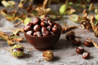 Kestane. Buckeyes. Sonbahar havası. Kestane ağacının yaprakları.