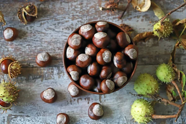 Castañas Buckeyes Humor Otoñal Hojas Castaño —  Fotos de Stock