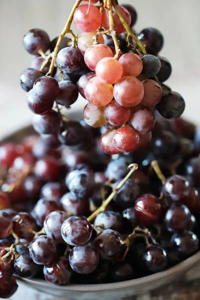 Frische Saftige Trauben Reife Trauben Weinlese — Stockfoto