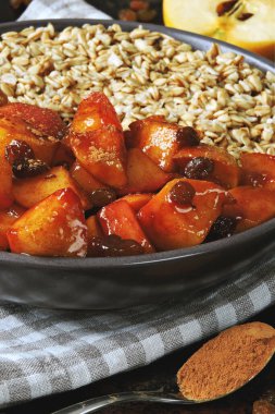 Yulaf ezmeli sıcak kış kahvaltısı, tarçınlı elma, kuru üzüm ve bal. Çevre yemeği. Superfood Fitness Kahvaltı yulaf ezmesi Tarçın elması.