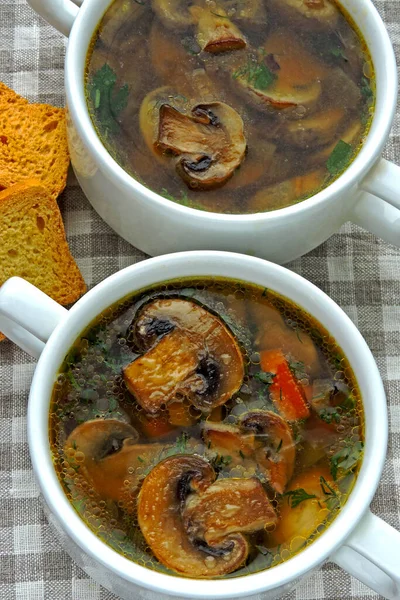 Fresh Homemade Mushroom Soup Wheat Croutons — Stock Photo, Image