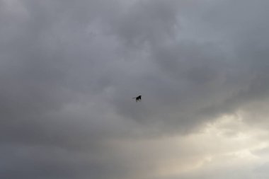 Dramatik bulutlar. Sonbahar gökyüzü. Yağmurdan önce bulutlar.