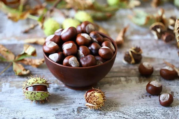 Castanhas Uma Tigela Folhas Castanha Composição Outono Com Castanhas — Fotografia de Stock