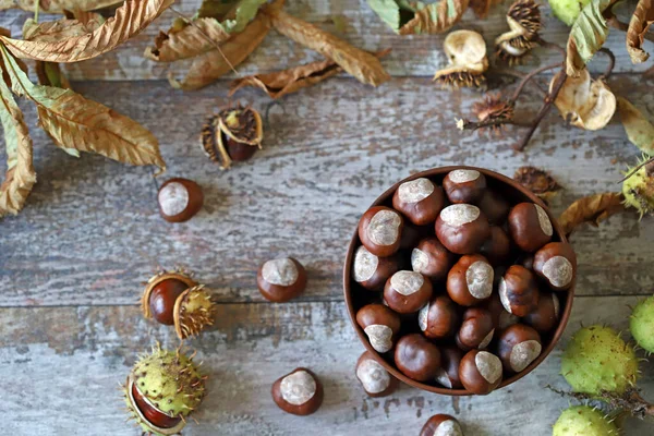 Castanhas Uma Tigela Folhas Castanha Composição Outono Com Castanhas — Fotografia de Stock