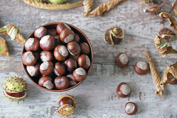 Kastanjes Een Kom Buckeyes Herfstcompositie Met Kastanjes — Stockfoto