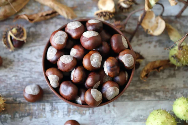 Kaštany Misce Buckeyes Podzimní Skladba Kaštany — Stock fotografie