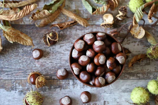 Castanhas Uma Tigela Folhas Castanha Composição Outono Com Castanhas — Fotografia de Stock