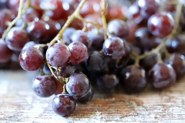 Frische Saftige Trauben Reife Trauben Weinlese — Stockfoto