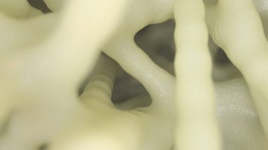Kemik osteoporozdan etkilenmiş - enine kesit - 3d oluşturma