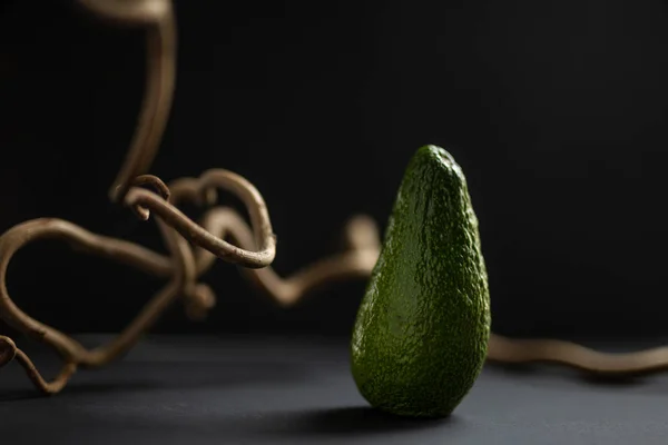 Avokado Eylül 2020 Gıda
