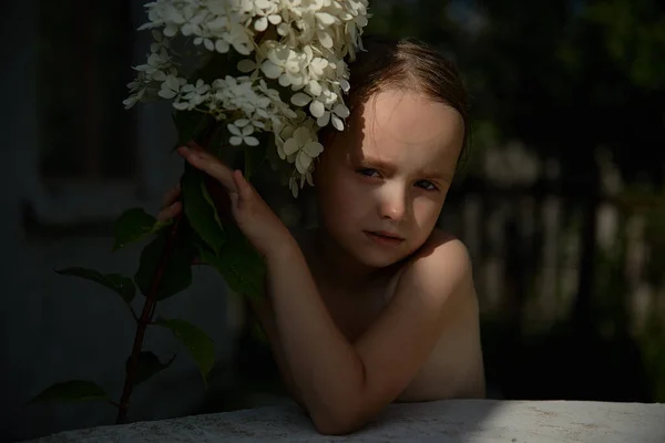 Descanse Campo Com Sua Família — Fotografia de Stock