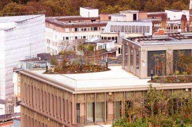 Bitkiler Londra, İngiltere'de binanın çatı