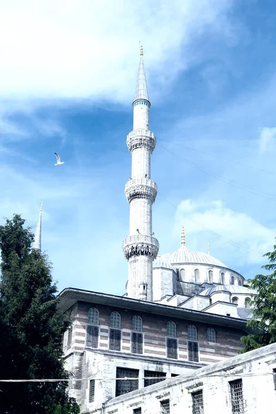 土耳其伊斯坦布尔圣索菲亚大教堂 — 图库照片