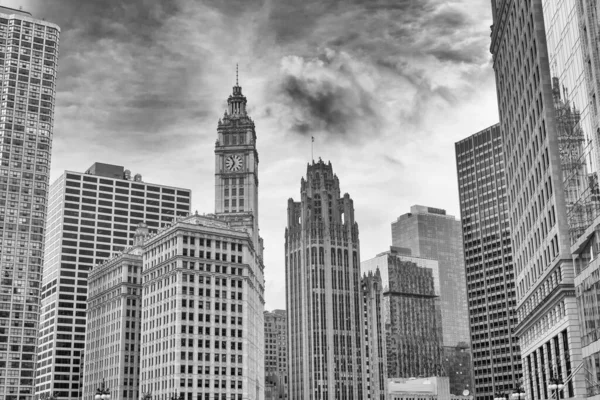 Скайлайн Чикаго — стоковое фото
