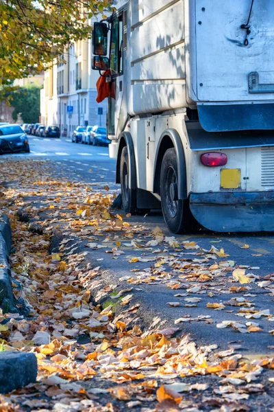 Street cleaning vehicles clean from leaves in autumn