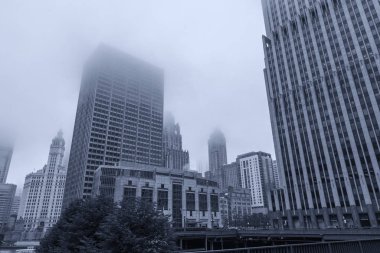 Chicago gökdelenleri sisli