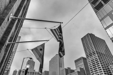 Chicago şehrinin ve Amerika Birleşik Devletleri 'nin bayraklarını sallıyor. 