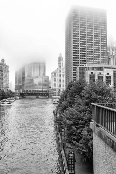 Rascacielos de Chicago en la niebla —  Fotos de Stock