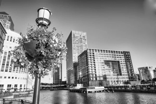 Flowers and cement in London — 스톡 사진