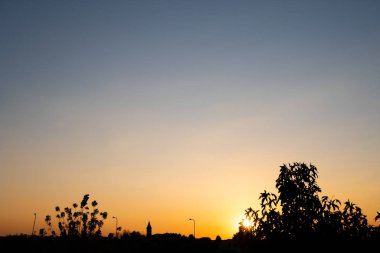 Ağaçlar Siloutte gün batımında