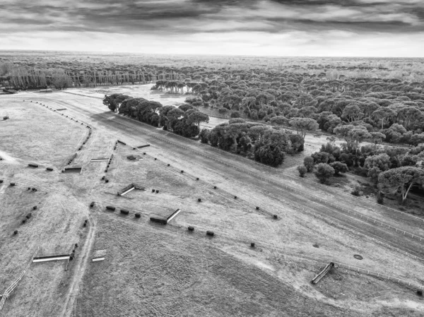 Vista Aérea Desde Dron Hipódromo — Foto de Stock