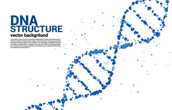 Vektor Dns Genetikai Struktúra Pont Véletlenszerű Háttér Koncepció Biotechnológia Biológia — Stock Vector