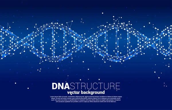 Vektor Dns Genetikai Struktúra Pont Csatlakoztassa Vonal Poligon Háttér Koncepció — Stock Vector