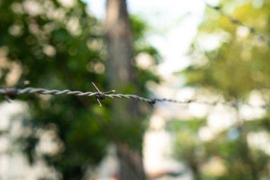 Dikenli tellerin sığ derinliği ve bulanık arkaplan. Yasak bölge ve güvenlik kavramı.