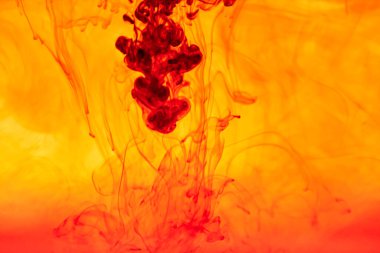 Kırmızı renkli mürekkep sıvısını kapat ve soyut arkaplan dumanı tüttür. Suda akan renk damlası.