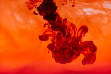Kırmızı renkli mürekkep sıvısını kapat ve soyut arkaplan dumanı tüttür. Suda akan renk damlası.