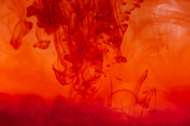 Kırmızı renkli mürekkep sıvısını kapat ve soyut arkaplan dumanı tüttür. Suda akan renk damlası.