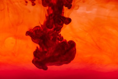 Kırmızı renkli mürekkep sıvısını kapat ve soyut arkaplan dumanı tüttür. Suda akan renk damlası.