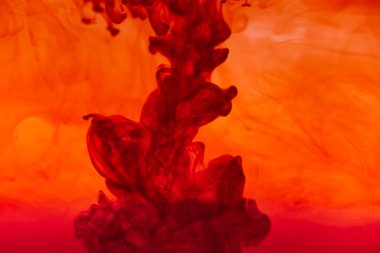 Kırmızı renkli mürekkep sıvısını kapat ve soyut arkaplan dumanı tüttür. Suda akan renk damlası.