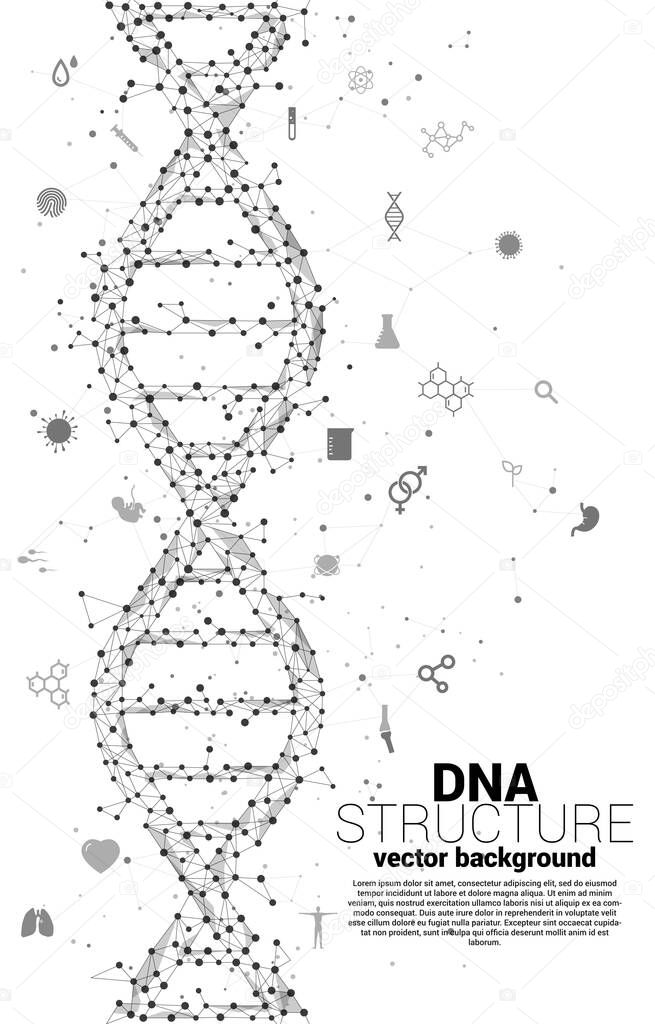 vector DNA genetic structure from dot connect line polygon with icon. background concept for biotechnology and biology scientific.
