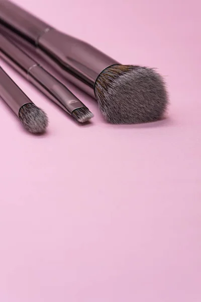 Pinceaux Maquillage Professionnels Avec Poignée Argentée Sur Fond Rose Avec — Photo