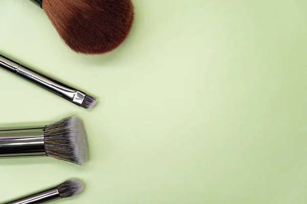 Pinceaux Maquillage Professionnels Avec Poignée Argentée Sur Fond Vert Avec — Photo