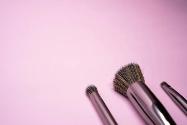 Pinceaux Maquillage Professionnels Avec Poignée Argentée Sur Fond Rose Avec — Photo