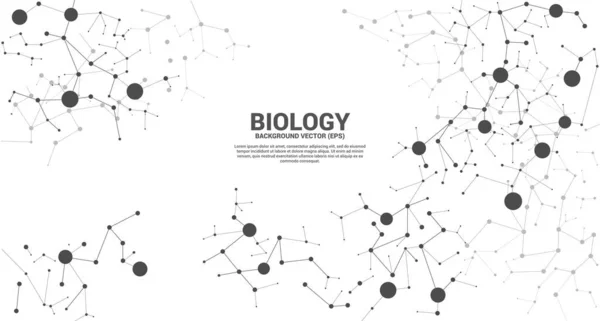 Hálózati Vonal Csatlakozás Pont Molekula Háttér Biológia Kémiai Tudományos Fogalma — Stock Vector