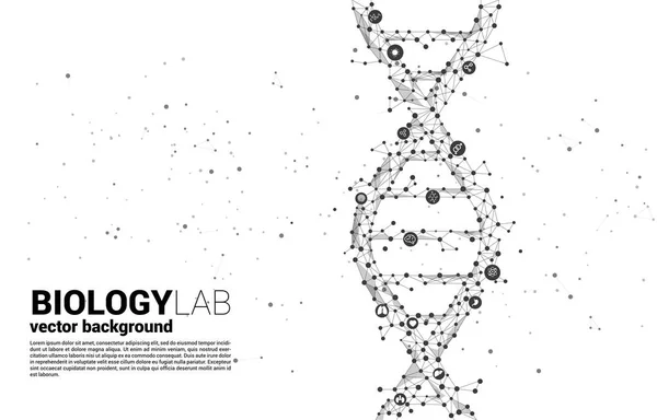 Vektor Dns Genetikai Struktúra Pont Csatlakoztassa Vonal Poligon Ikon Háttér — Stock Vector