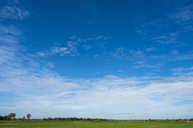 Yeşil alanlar ve beyaz bulutlarla mavi gökyüzü arkaplanı.