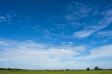Yeşil alanlar ve beyaz bulutlarla mavi gökyüzü arkaplanı.